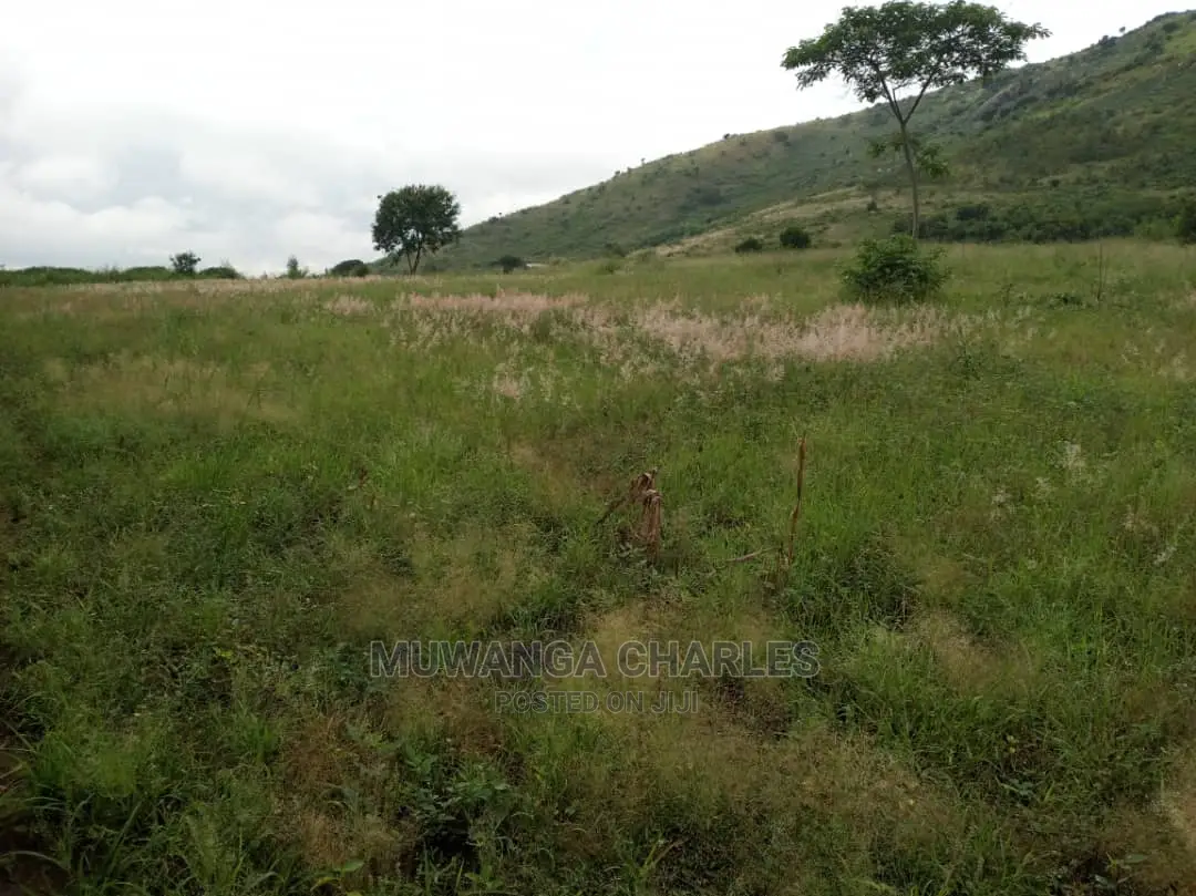 25acres of Land for Sale at Nakasongola Kamira in Central Division