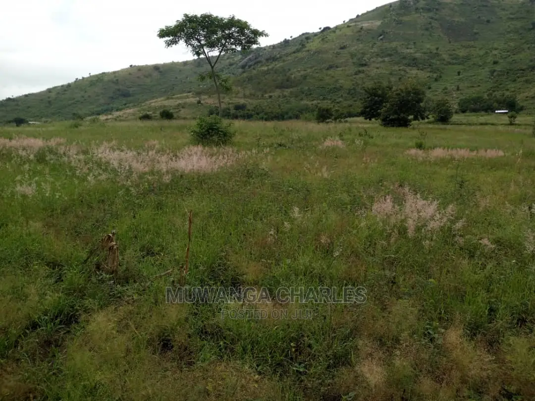 25acres of Land for Sale at Nakasongola Kamira in Central Division