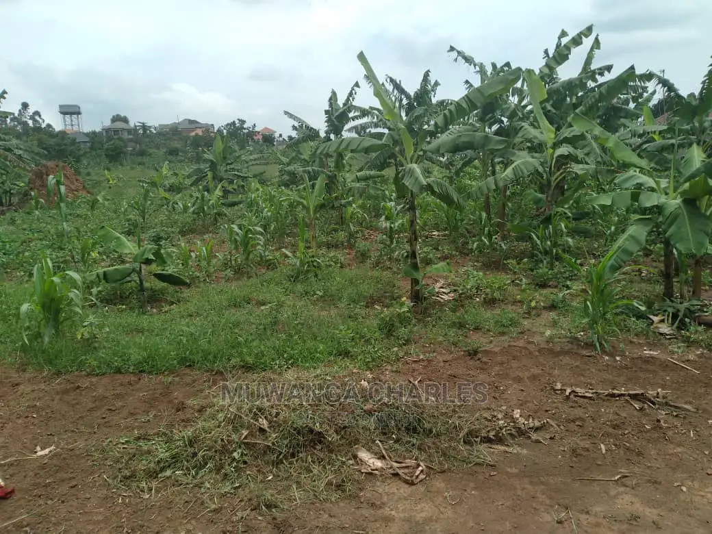 1acre of Land for Sale at Busika in Central Division