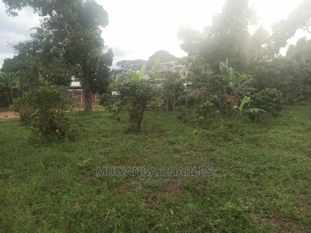 5acres of Land for Sale at Zirobwe in Central Division