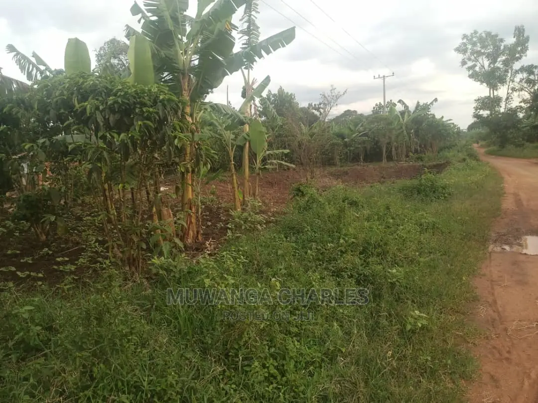 5acres of Land for Sale at Zirobwe in Central Division