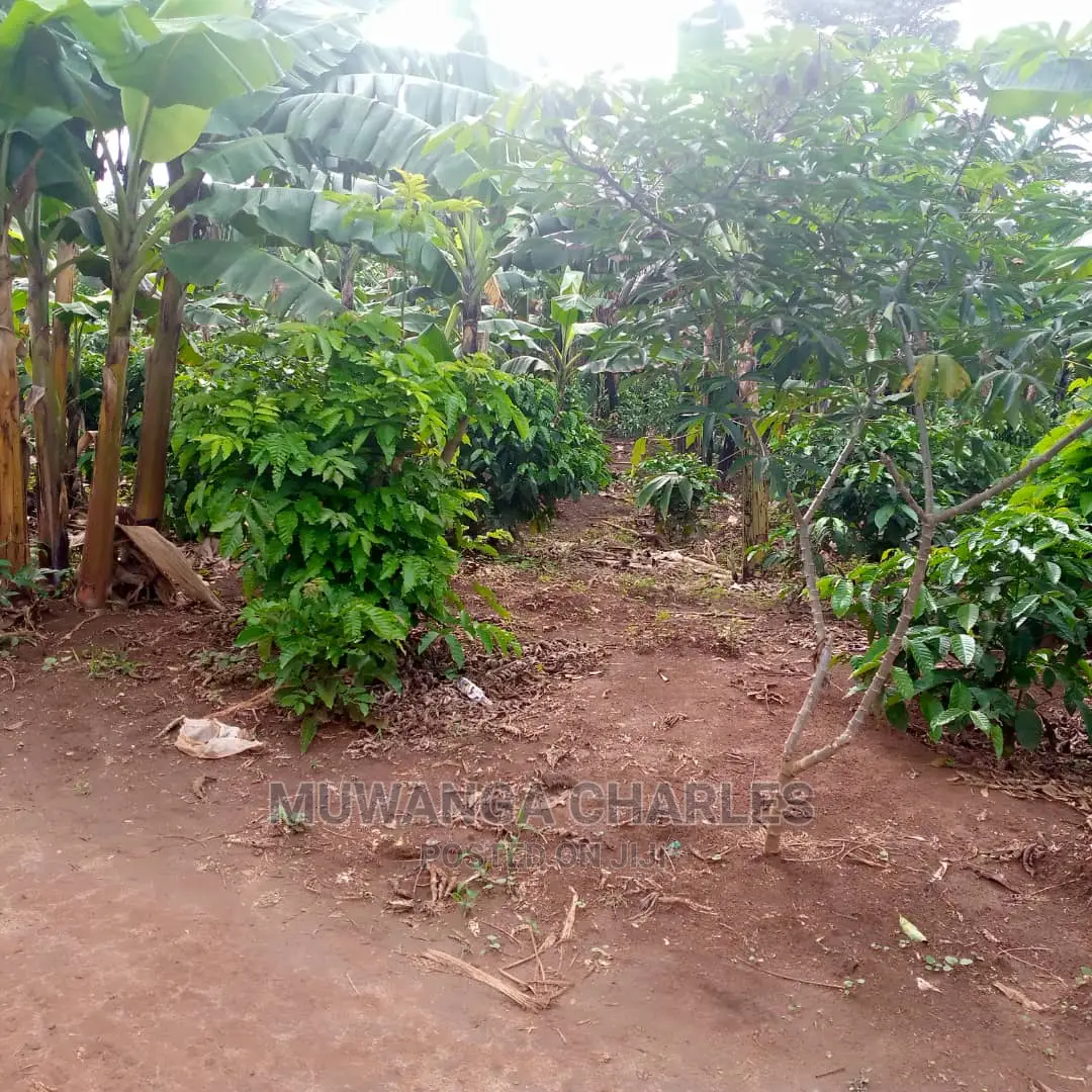 2.5acres of Land for Sale at Zirobwe Tongo in Central Division