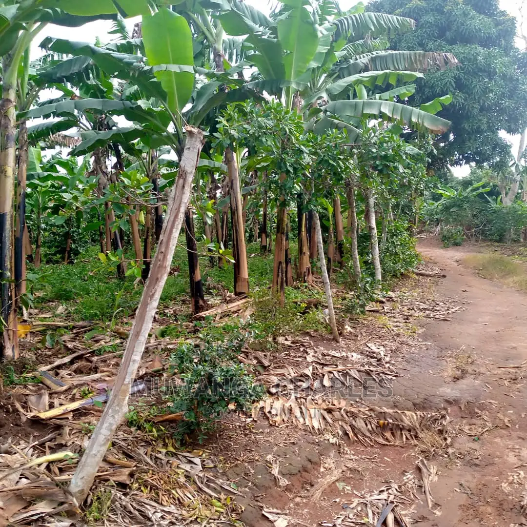 2.5acres of Land for Sale at Zirobwe Tongo in Central Division