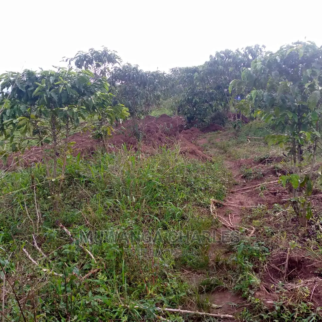 5acres of Land for Sale at Zirobwe Lunyolya in Central Division