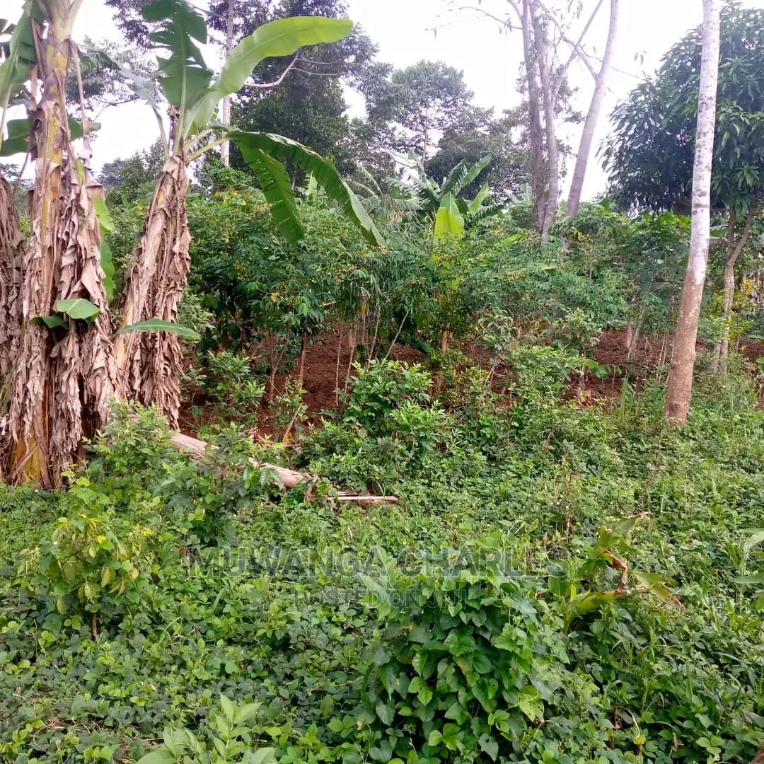 5acres of Land for Sale at Zirobwe Lunyolya in Central Division