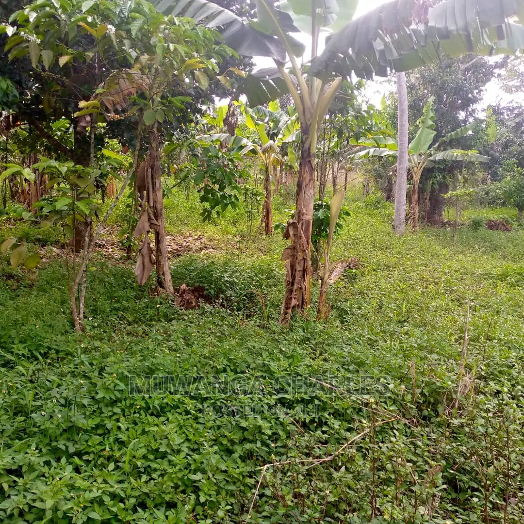 5acres of Land for Sale at Zirobwe Lunyolya in Central Division