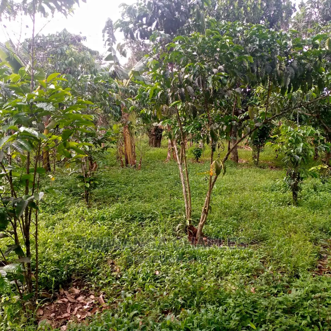 5acres of Land for Sale at Zirobwe Lunyolya in Central Division