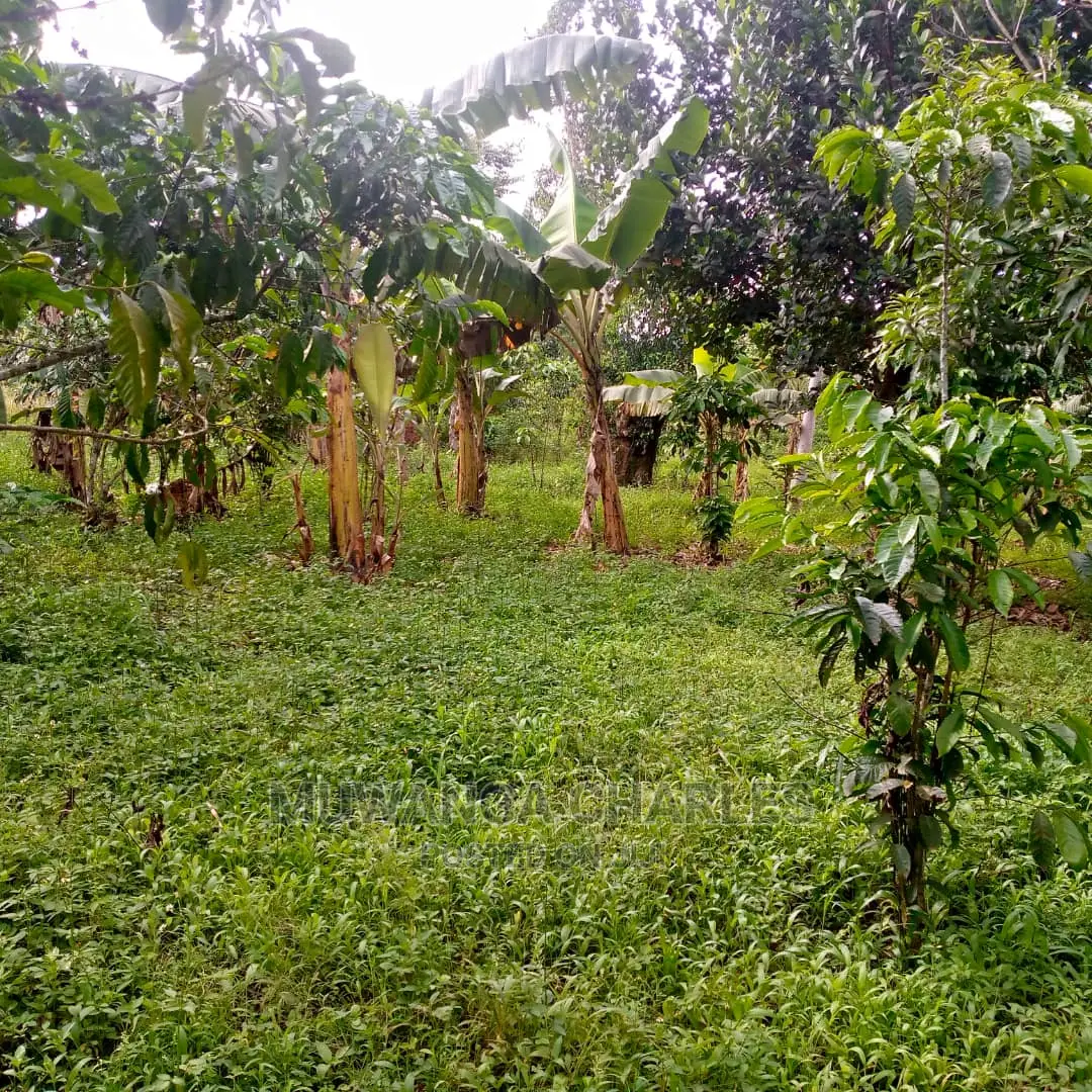 5acres of Land for Sale at Zirobwe Lunyolya in Central Division