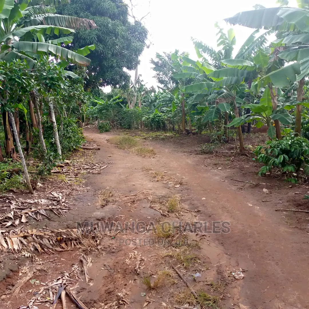 4acres of Land for Sale at Zirobwe Janda in Central Division