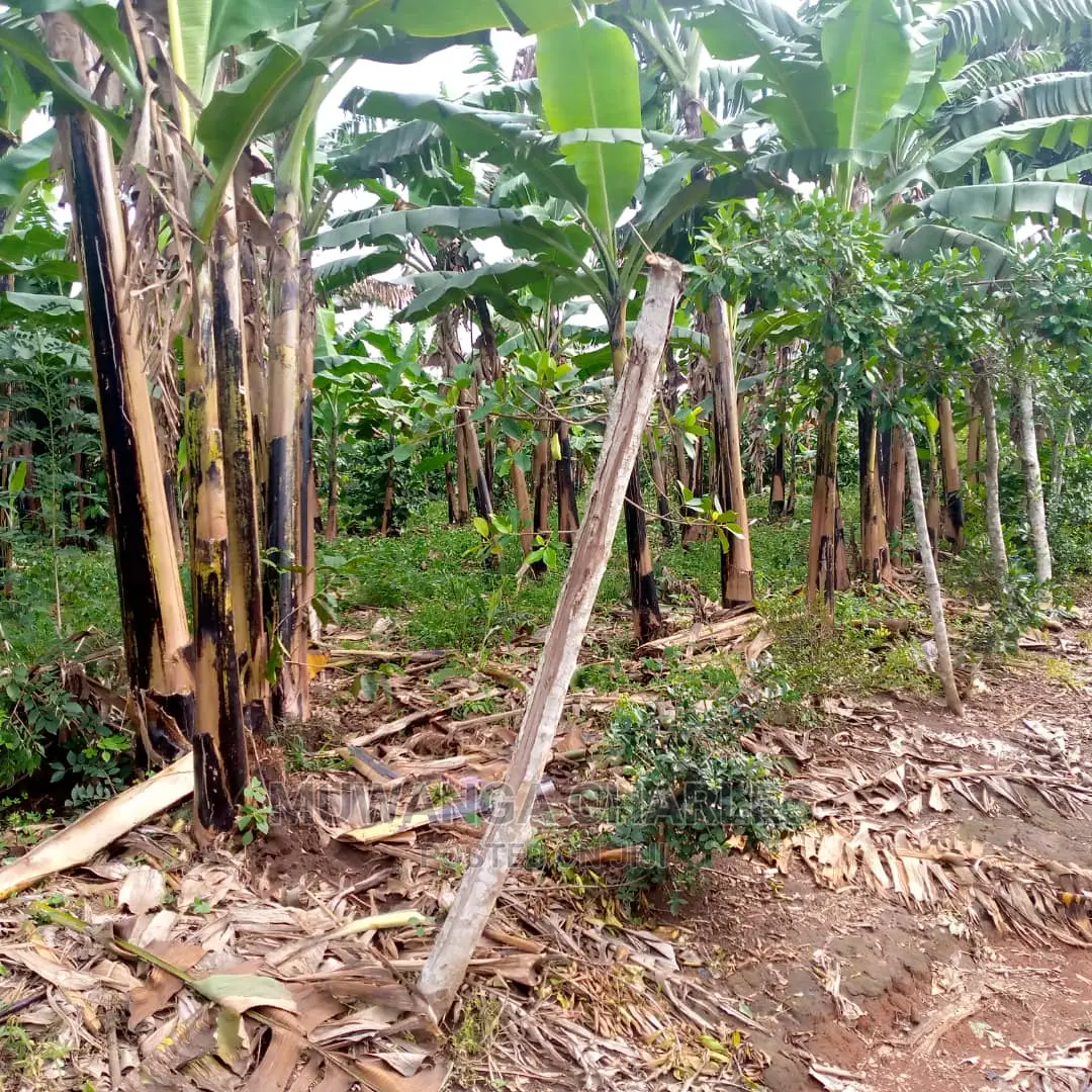 4acres of Land for Sale at Zirobwe Janda in Central Division
