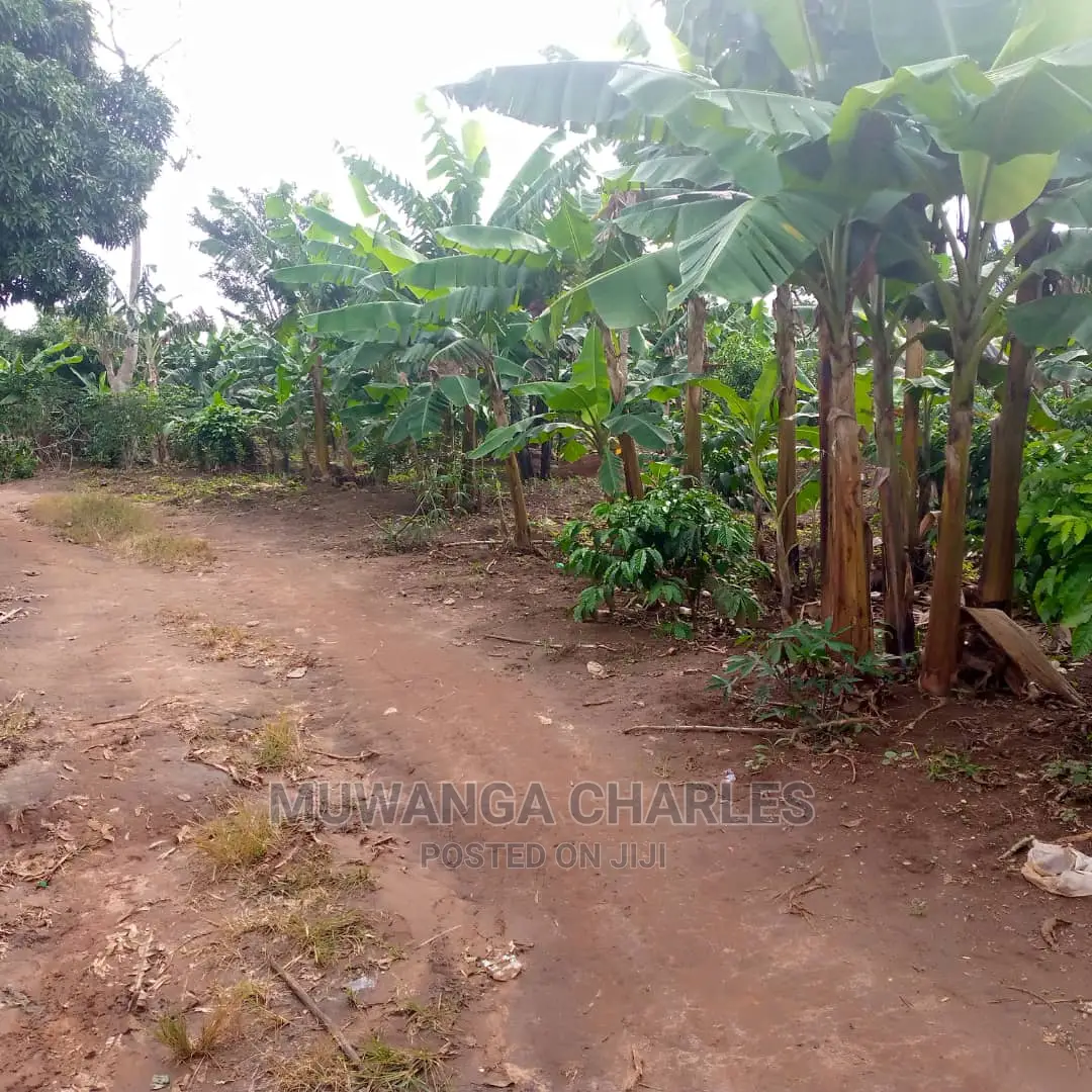 4acres of Land for Sale at Zirobwe Janda in Central Division