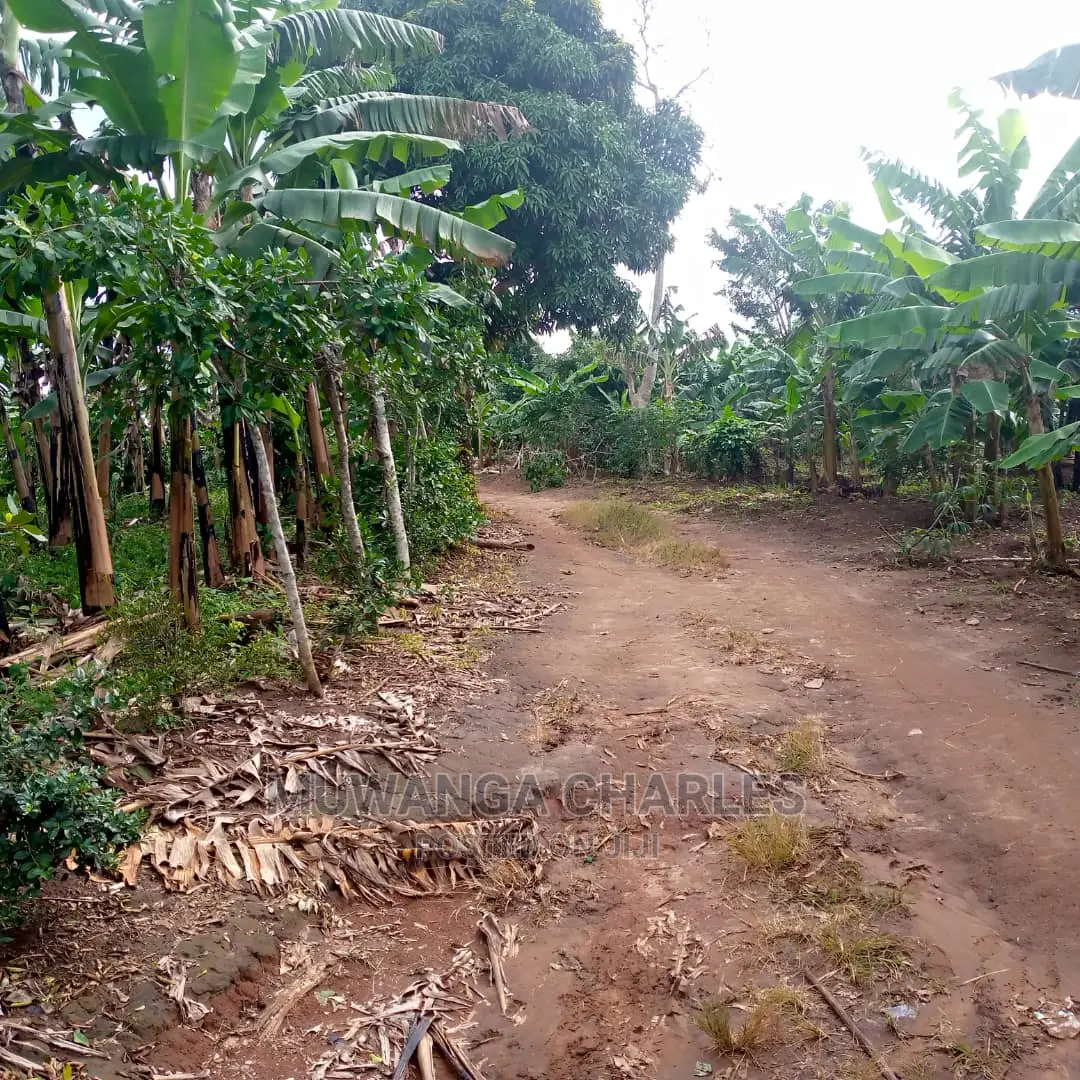 4acres of Land for Sale at Zirobwe Janda in Central Division