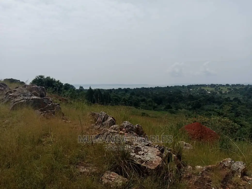 30acres of Stone Land for Sale at Nkonkonjeru in Central Division