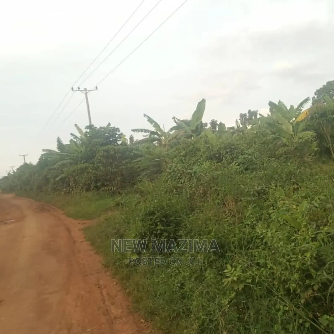 Full Acre at Give Away Price in Luwero Lweyeyo Ready Title in Central Division