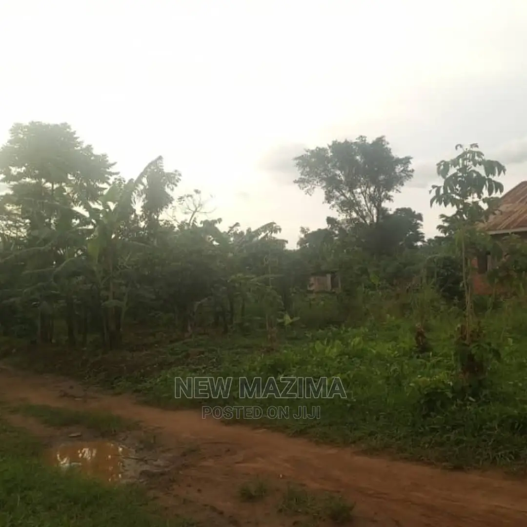 Full Acre at Give Away Price in Luwero Lweyeyo Ready Title in Central Division