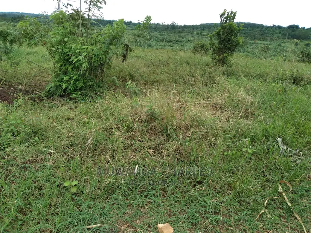 12decimals Plot of Land for Sale at Kira Kiwologoma in Central Division
