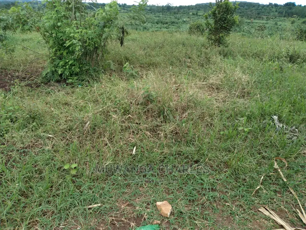 Plot of Land for Sale at Kira Bulindo in Central Division