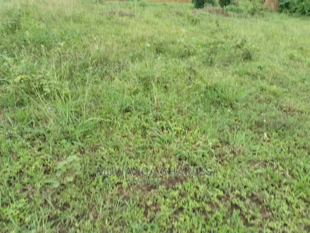 Plot of Land for Sale at Kira Bulindo in Central Division