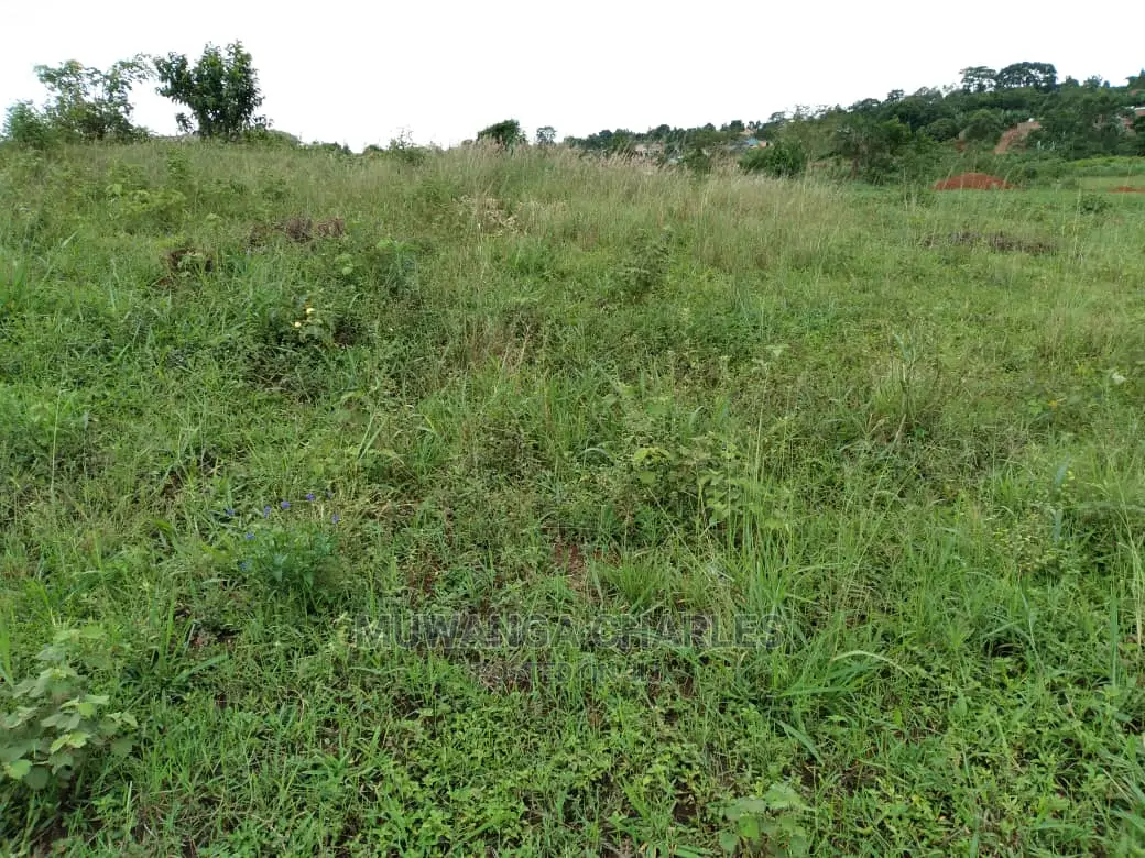 Plot of Land for Sale at Kira Bulindo in Central Division
