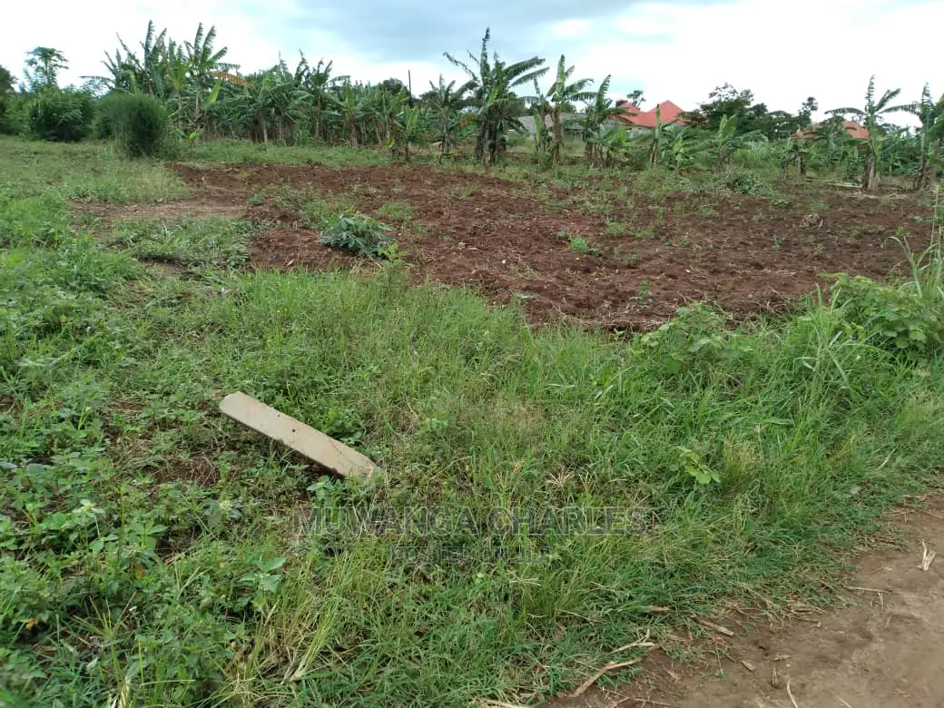 100x50ft Plot of Land for Sale at Kira in Central Division