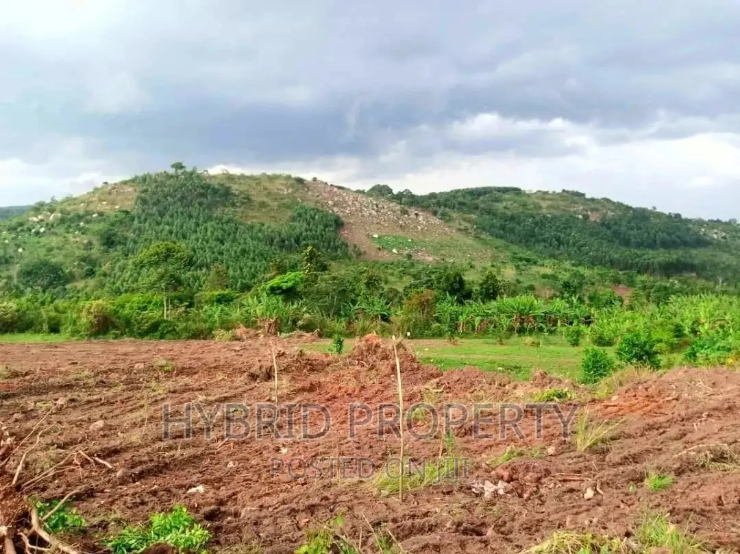 Plots for Sale at Nakyesanja~Wakiso Land Estate~ Hoima Road in Wakiso / Wakiso