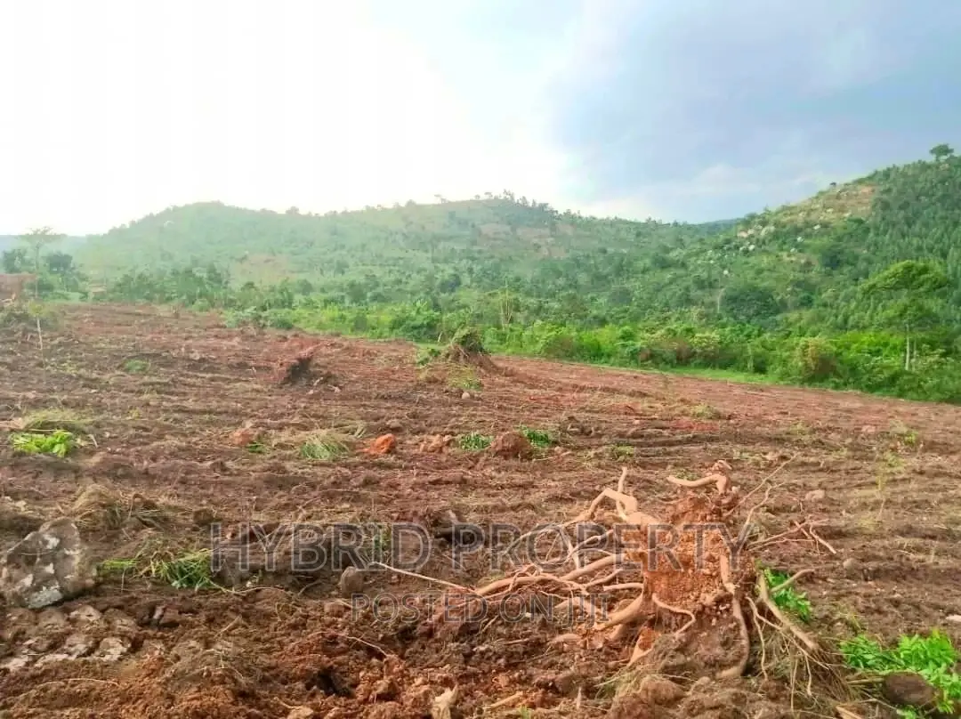 Plots for Sale at Nakyesanja~Wakiso Land Estate~ Hoima Road in Wakiso / Wakiso