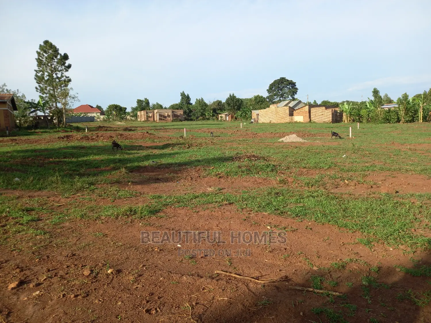 Nakwero Gayaza Plots on Sell in Kira