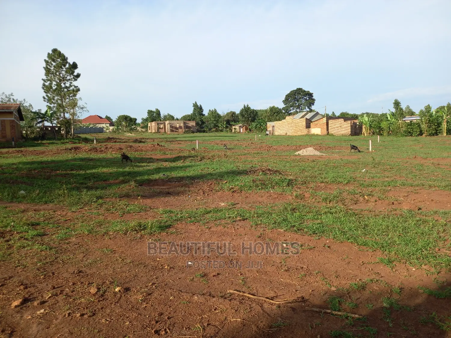 Nakwero Estate Plots on Sell in Kira