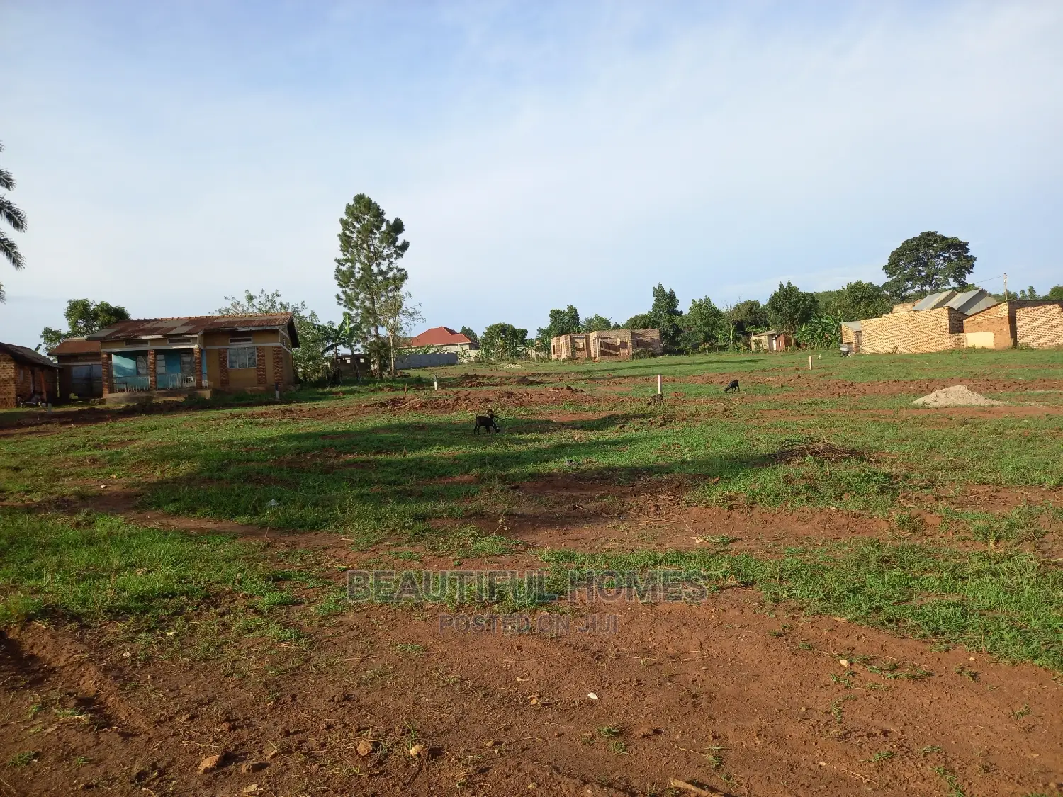 Nakwero Plot on Sell in Kira