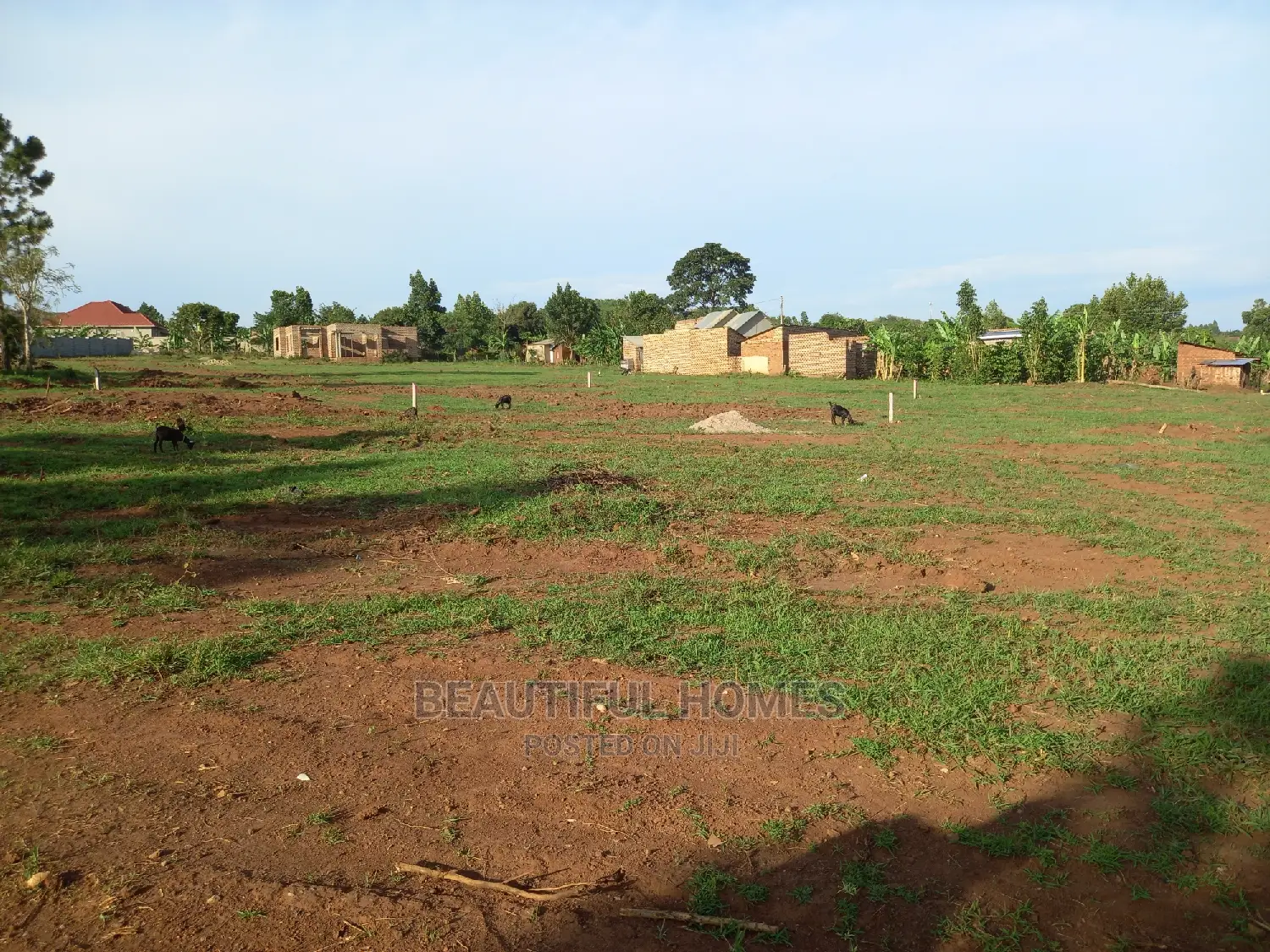 Gayaza Titled Land for Sell in Kira