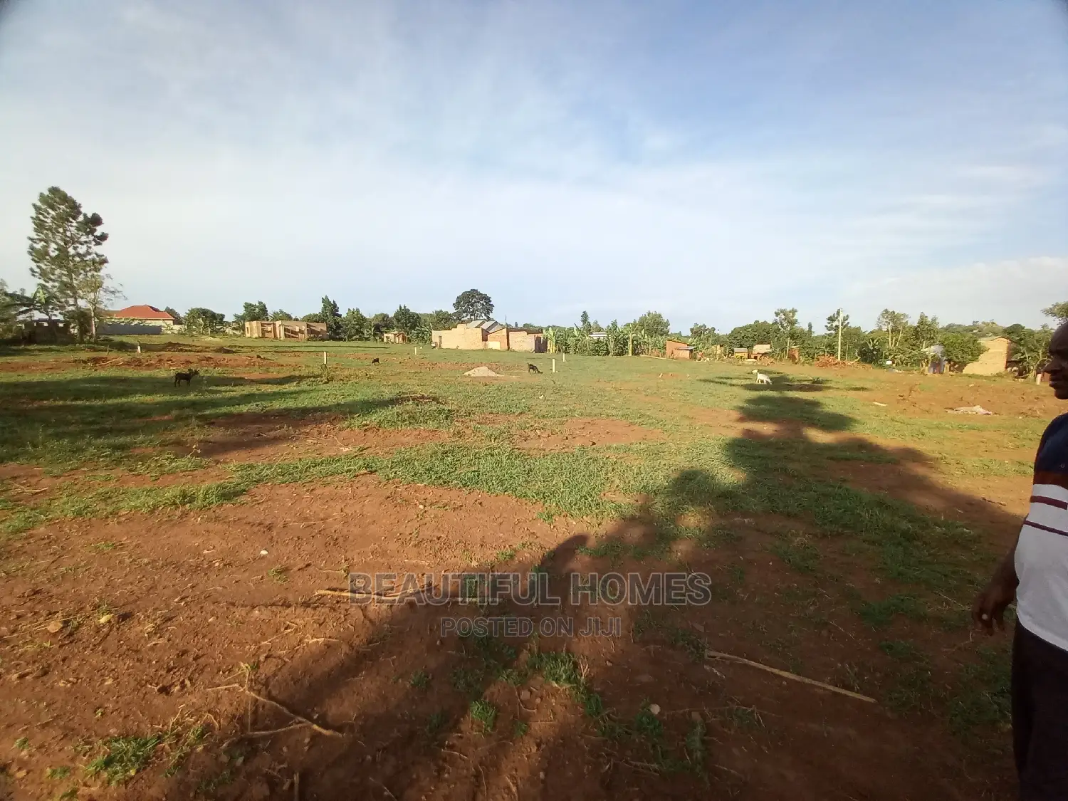 Nakwero Lovely Land on Sell in Kira