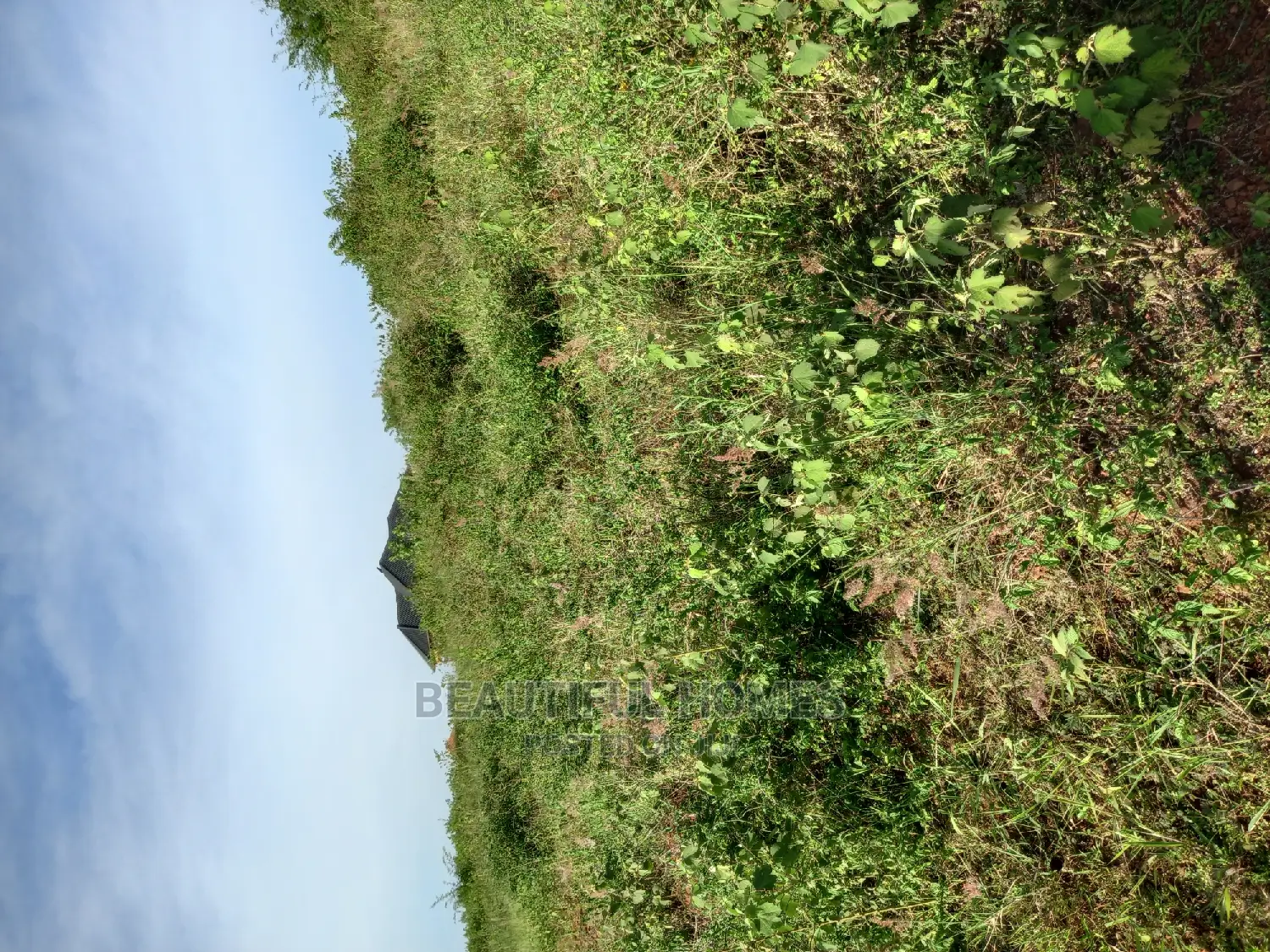 Nakasajja Two Plots on Sell in Kira