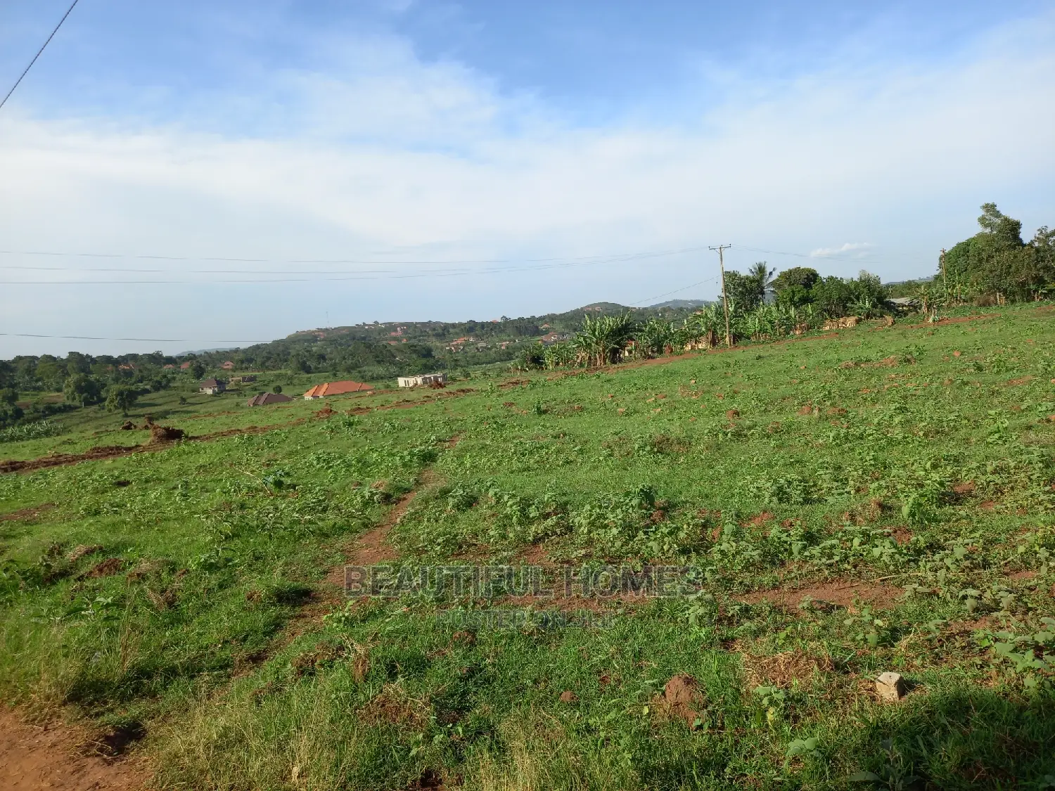 Land in Nakwero for Quicksell in Kira