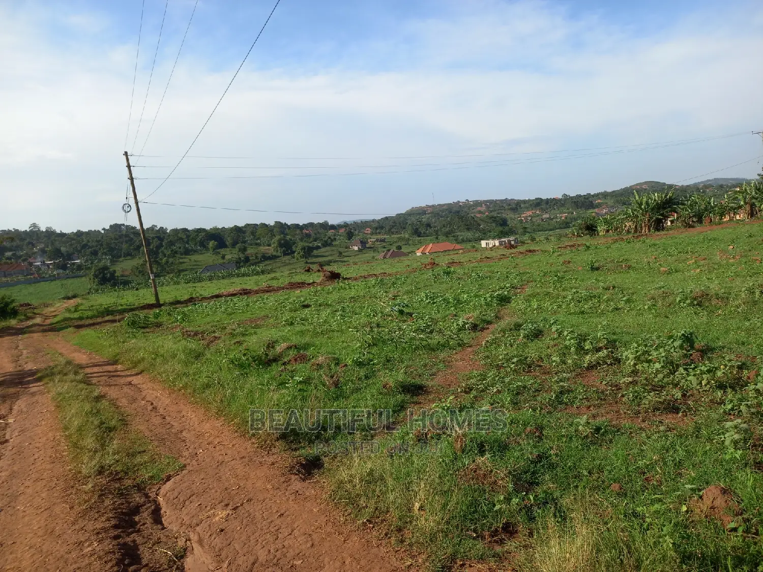 Nakwero Cut Plots on Sell in Kira