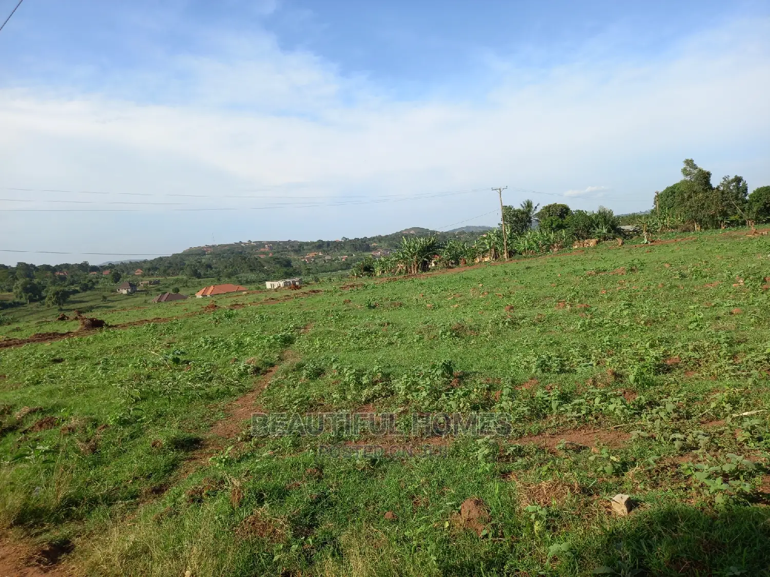 Prime Plot at Nakwero on Sell in Kira