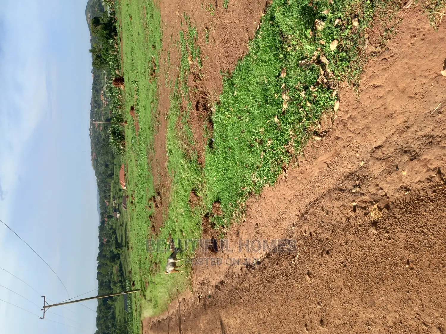 Nakwero 100#100 Land on Sell in Kira