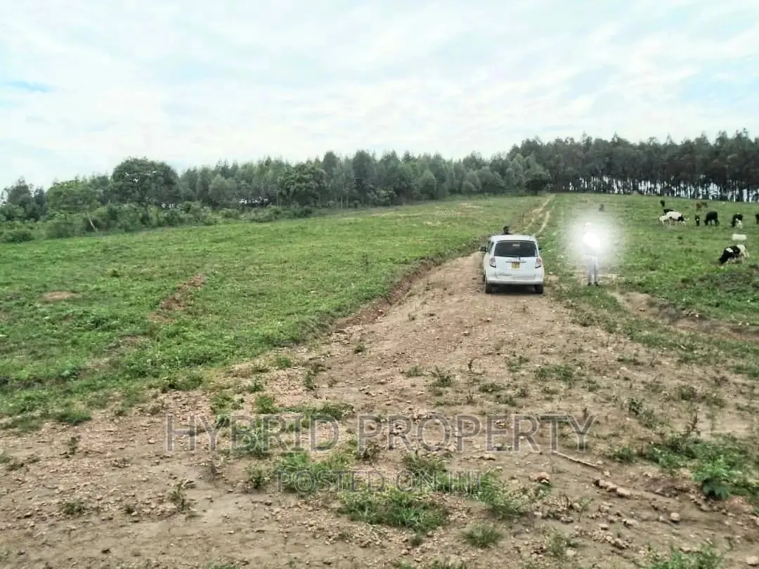 Plots for Sale at Gobero~Sseganga/Wakiso~ Estate~Hoima Road in Kakiri
