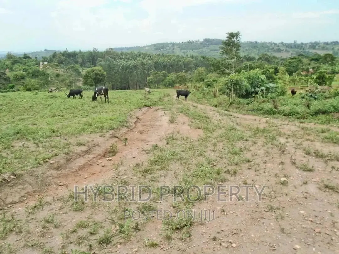 Plots for Sale at Gobero~Sseganga/Wakiso~ Estate~Hoima Road in Kakiri