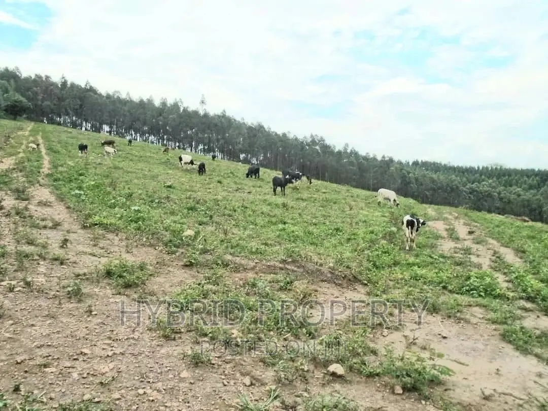 Plots for Sale at Gobero~Sseganga/Wakiso~ Estate~Hoima Road in Kakiri