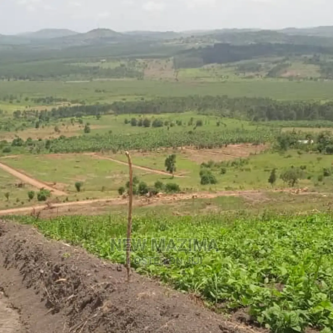Kakiri Town Hill Prime Estate With Over Viewing Titledplots in Division A