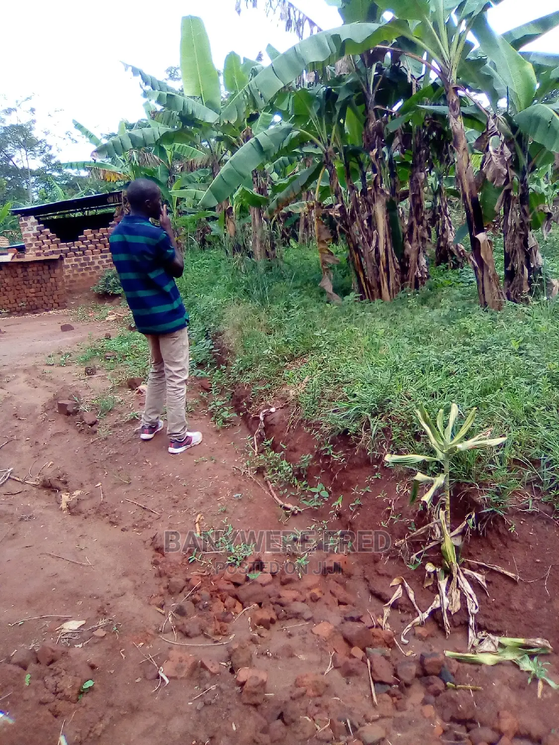 1acre of Land for Sale in Nakisunga in Nakisunga