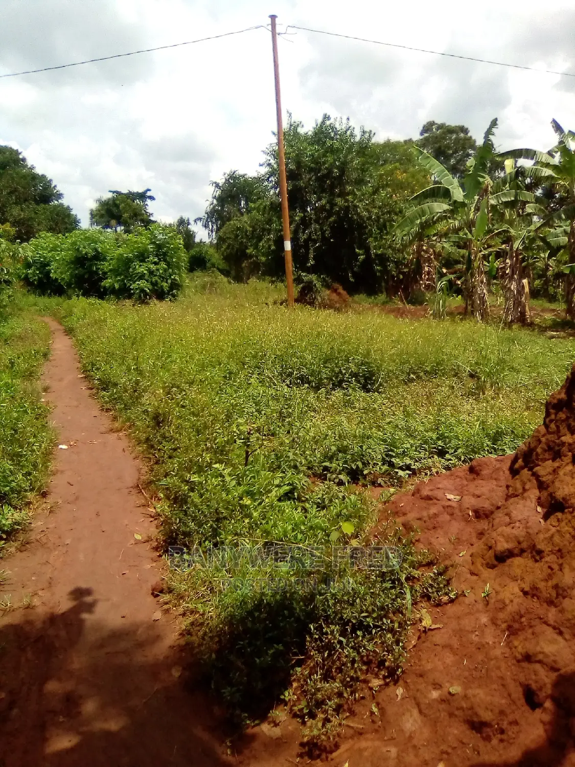 0.5acer of Land for Sale in Banda in Ntenjeru / Mukono
