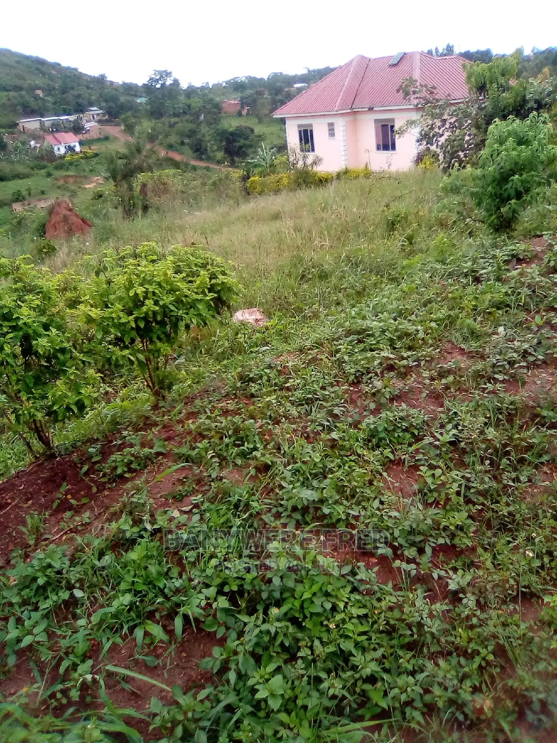 50/100 Plot for Sale in Jinja Misindye in Goma