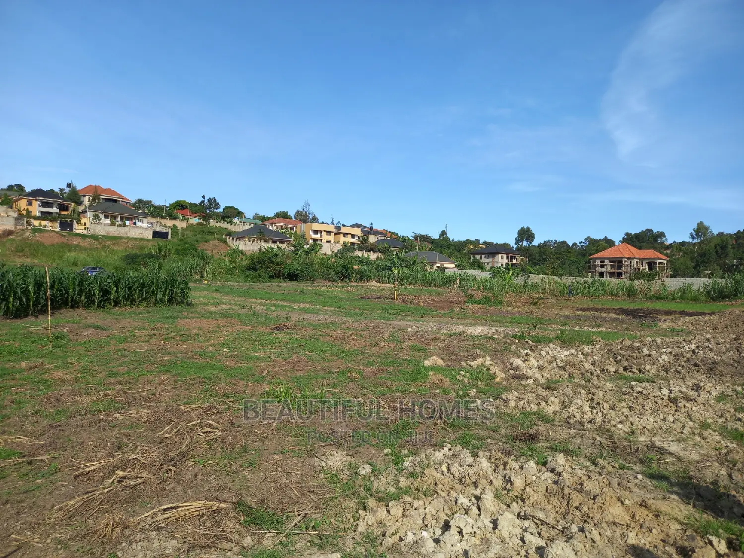 Kira Fabulous Plots Up on Sell in Kira