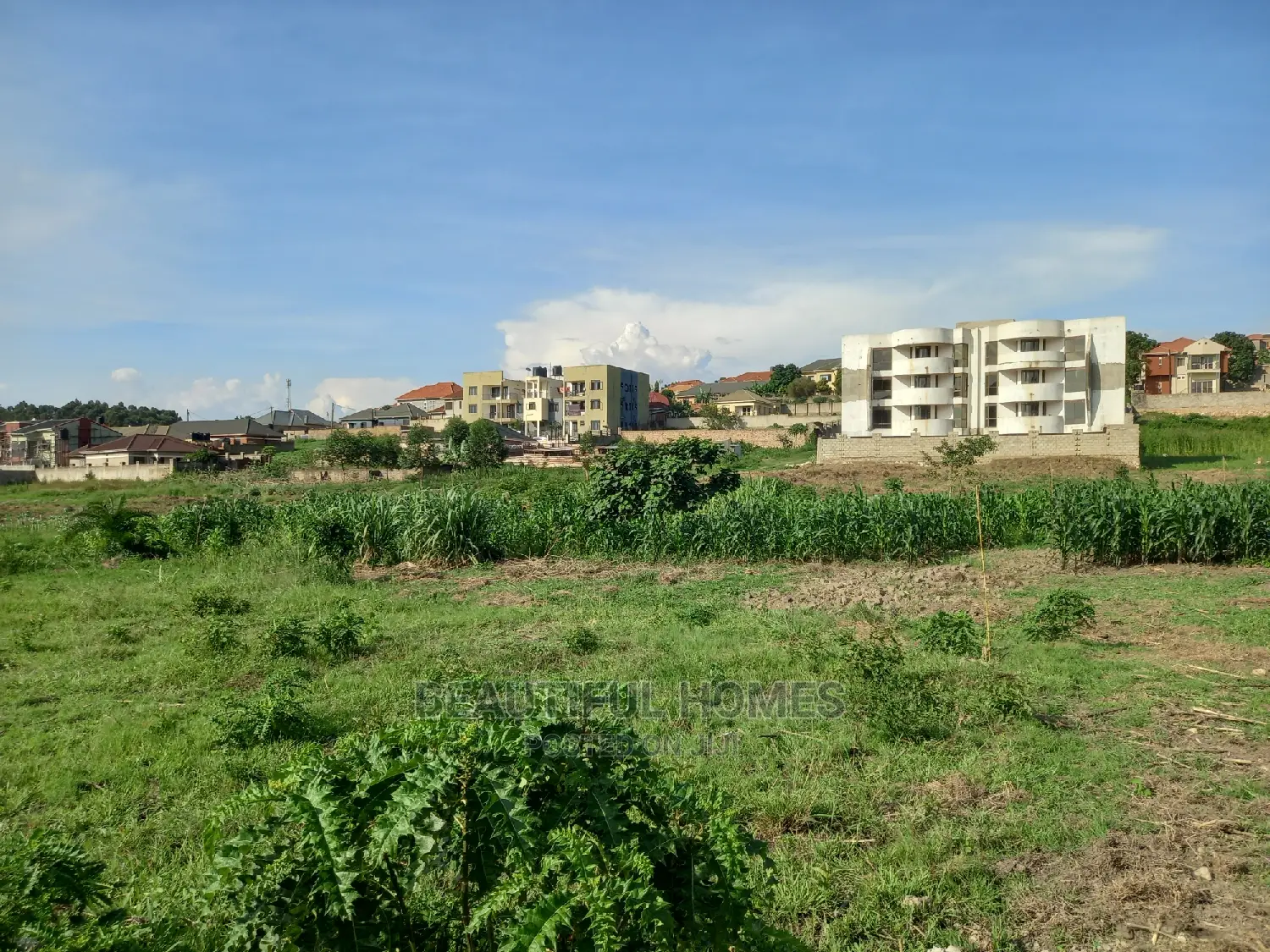 Kira Varied Two Plots on Sell in Kira