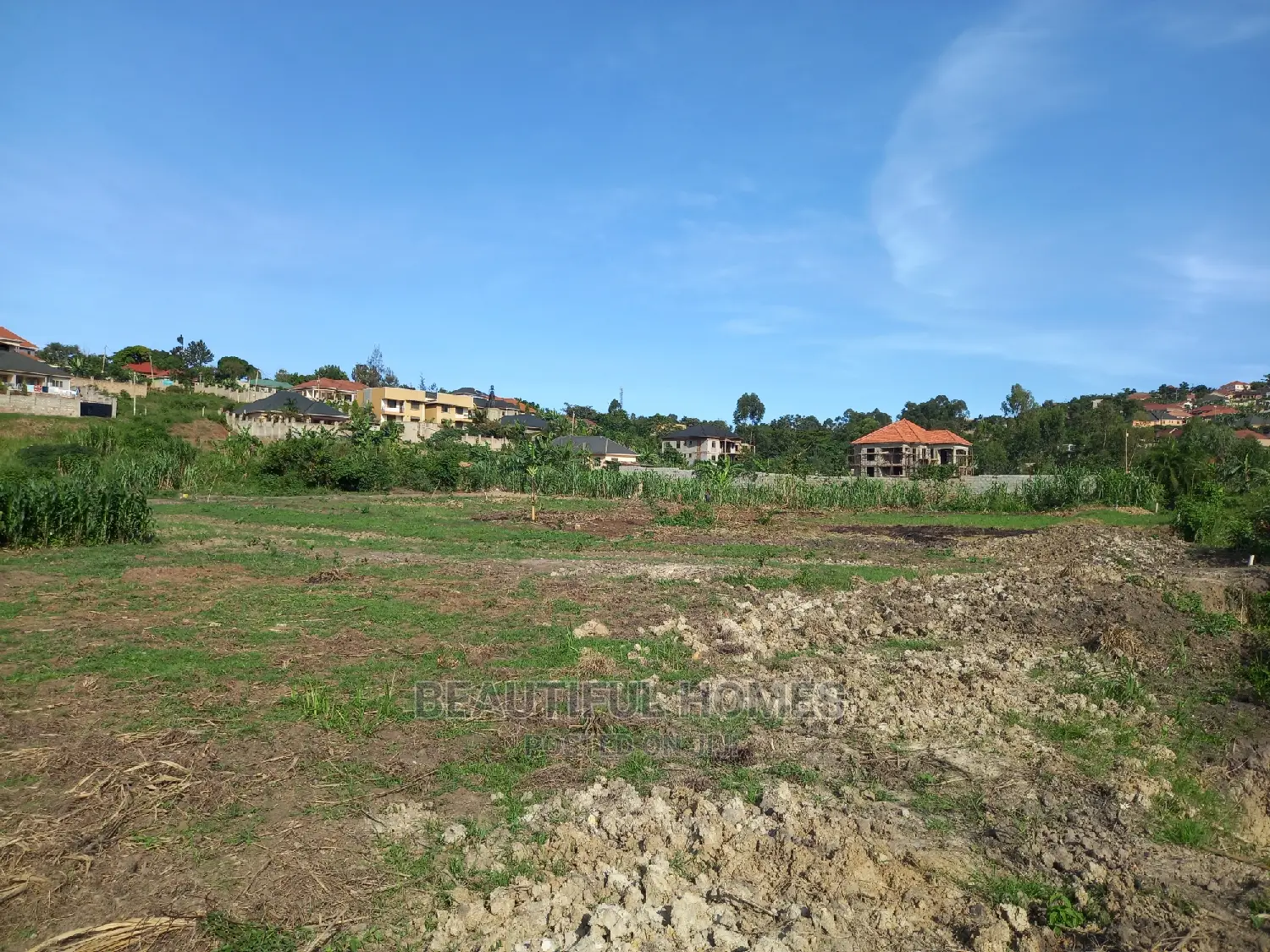 Kira Great Lands on Sell in Kira