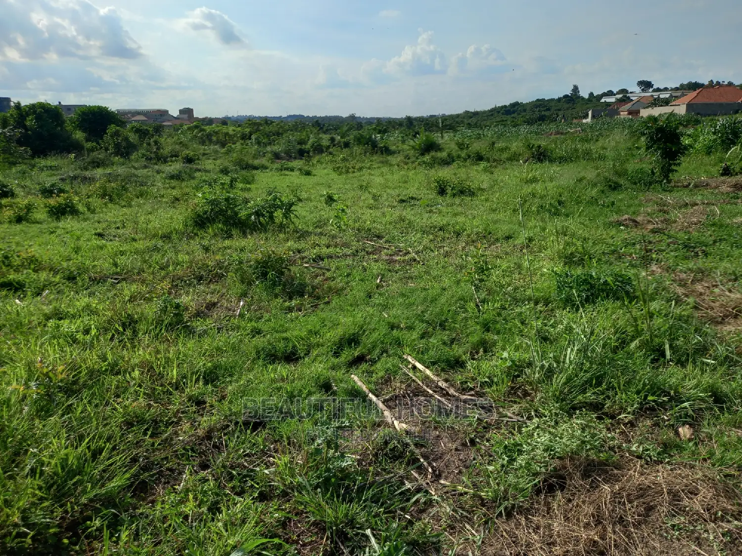 Plot in Kira on Sell in Kira