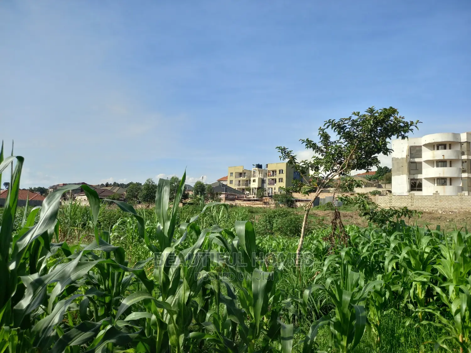 Kira,Purchase Land Affordably in Kira