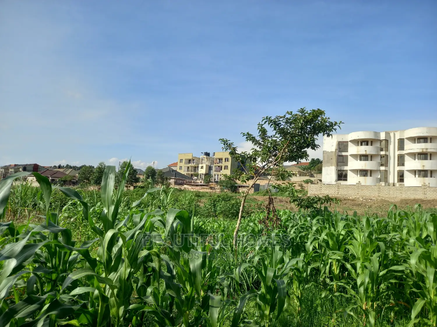 Kira ,Buy This Classy Plot in Kira