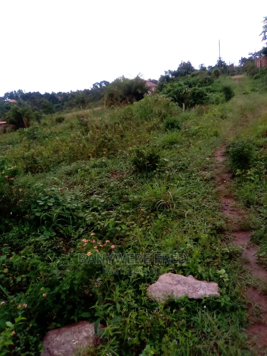80/100 Plot for Sale in Lwanyonyi Mukono in Nama